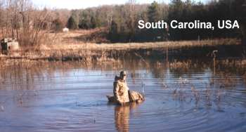 South Carolina Waterfowling